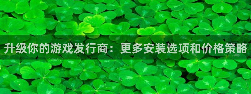 银河官网代理注册：升级你的游戏发行商：更多安装选项和价格策略