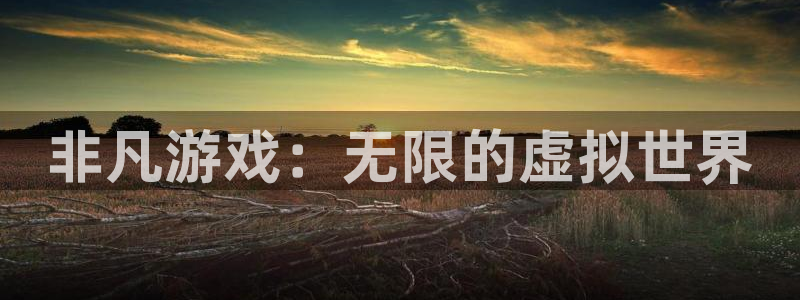 银河(galaxy)子财经图书：非凡游戏：无限的虚拟世界