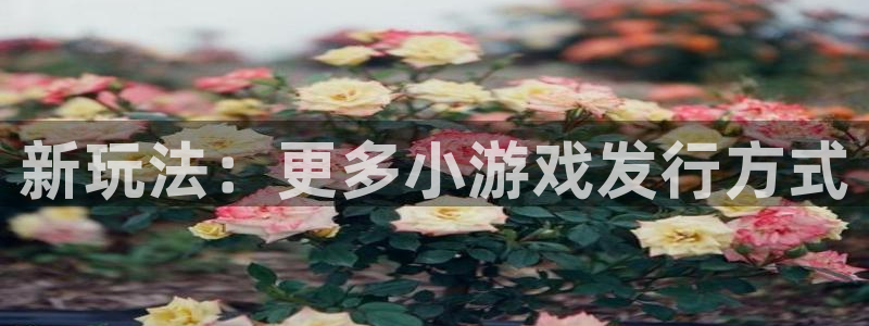 银河官网平台是骗局吗：新玩法：更多小游戏发行方式