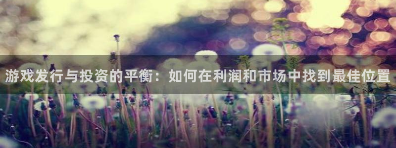 银河官网官网注册账号是什么：游戏发行与投资的平衡：如何在利润和市场中找到最佳位置