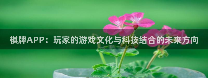 银河(galaxy)环境：棋牌APP：玩家的游戏文化与科技结合的未来方向